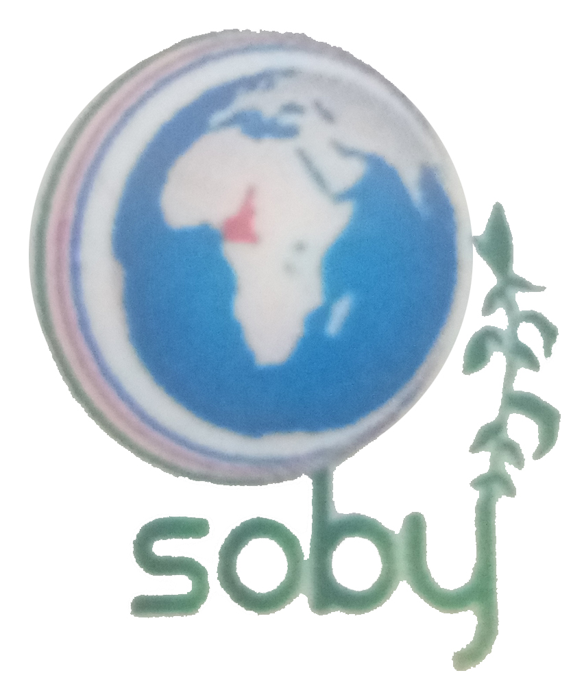 Soby Afric Invest